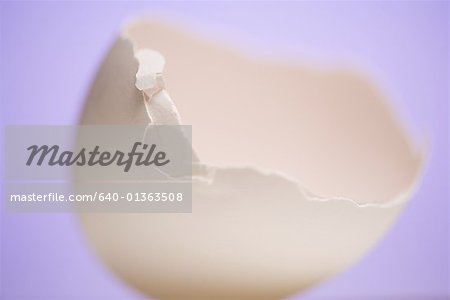 Close-up of a broken egg shell