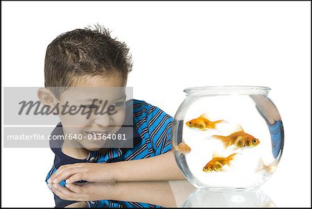 Close-up of a boy watching goldfish in a fishbowl