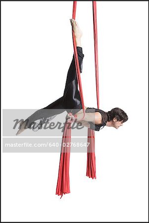 Male circus gymnast tangled in red drapes