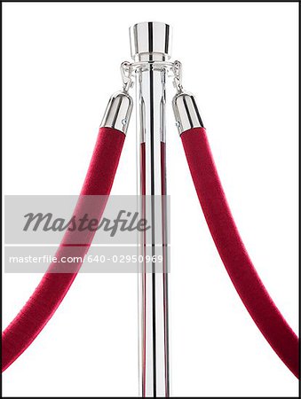 rope stand with a velvet rope attached