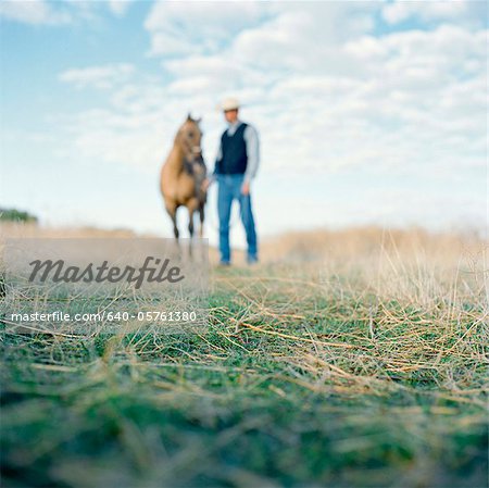 USA, Utah, Mapleton, Cowboy standing with horse at pasture, focus on grass