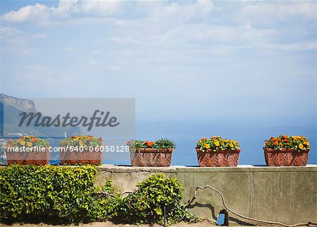 Italy, Amalfi Coast, Ravello, Potter flowers on wall