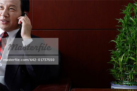 Businessman using mobile phone, smiling
