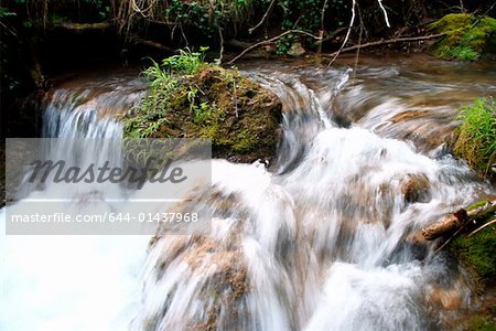 Waterfall in forest