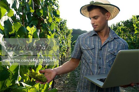 Young man in vineyard holding laptop