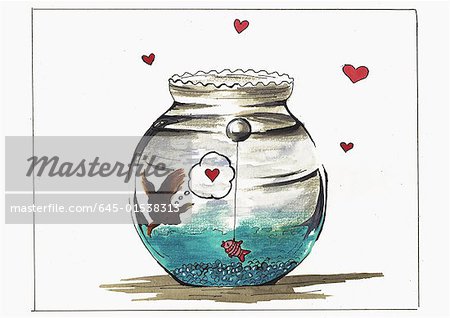 Fish in bowl falling in love with a fake fish