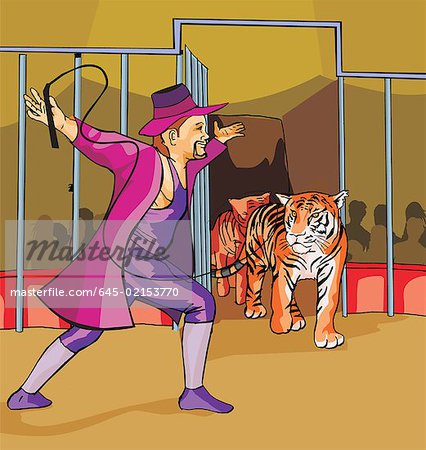 Side view of ringmaster with tigers in circus