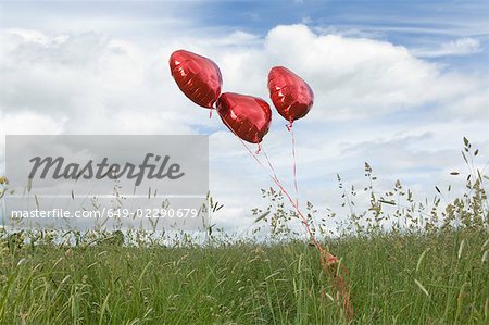 Heart shaped balloons in field