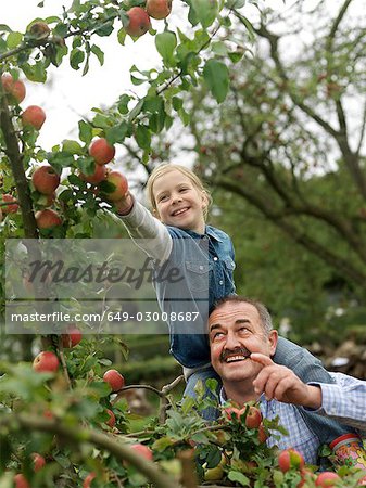 Man and girl picking apples on shoulders