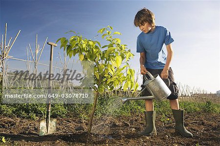 Pre-adolescent boy planting tree