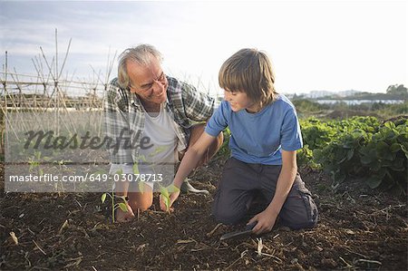 Grandfather and grandson planting