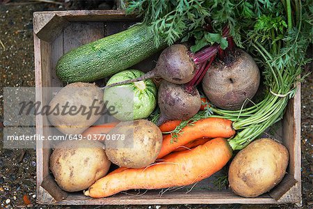 Tray of fresh vegetables Tray of fresh vegetables