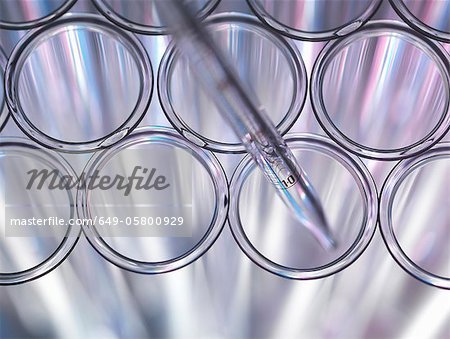 Close up of pipette in test tube Close up of pipette in test tube