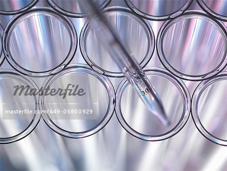 Close up of pipette in test tube