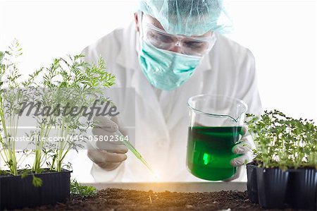 Scientist dropping liquid on plants