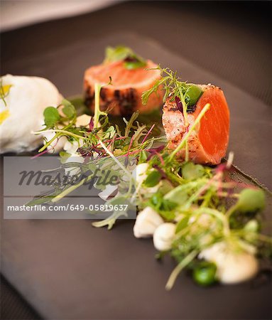 Plate Of Seared Salmon And Salad Stock Photo Masterfile Premium Royalty Free Code 649 05819637