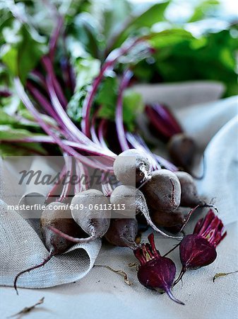 Close up of bunch of radishes