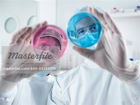 Scientists examining petri dishes in lab Scientists examining petri dishes in lab