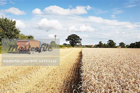 Tractor driving in harvested crop field