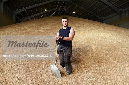 Farmer standing in shed of grain Farmer standing in shed of grain