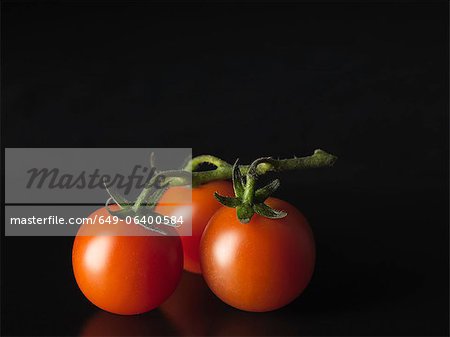 Close up of tomatoes on vine