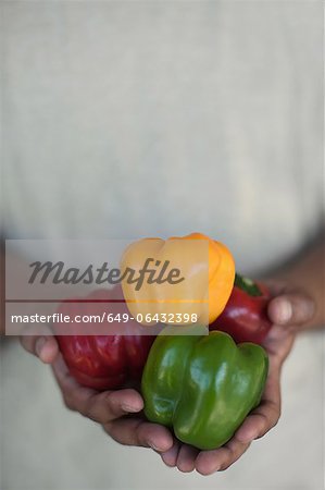 Close up of hands holding bell peppers