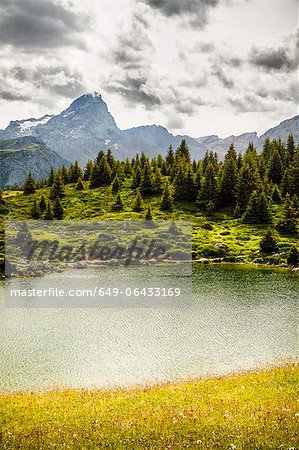 Lake in grassy rural landscape