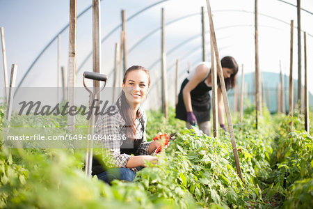 Young woman working at vegetable farm