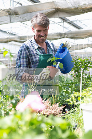 Organic farmer watering young plants