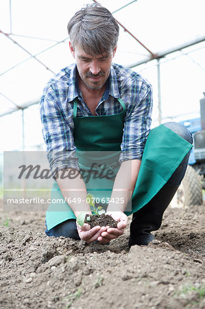Organic farmer holding seedling in polytunnel