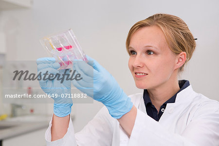 Female scientist in laboratory examining cell growth in 6-well plate