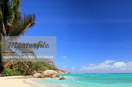 Beach and palm trees, La Digue, Seychelles