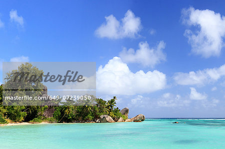 Turquoise sea and trees, La Digue, Seychelles