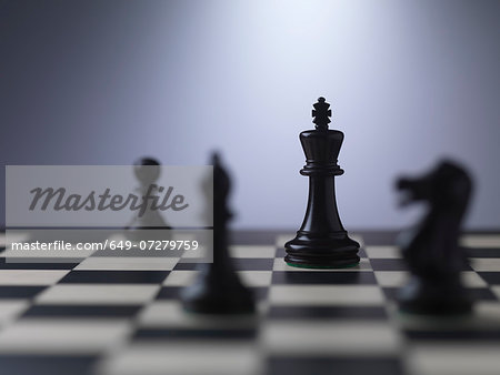 Chess pieces on a board showing king
