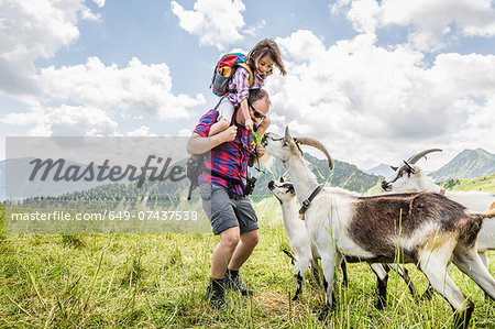 Man carrying daughter, looking at goats