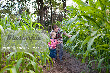 Farmer and son in field of crops