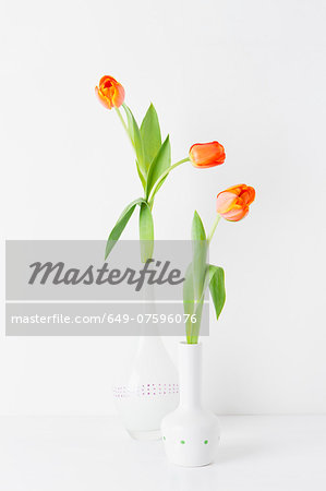 Still life of two vases and orange tulips