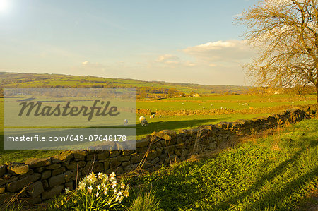 Farm in Skipton, Yorkshire, England