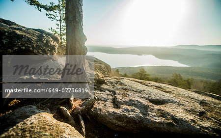 Tree on rock formation with view of distant lake