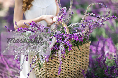Cropped shot of young woman in garden carrying basket of purple flowers