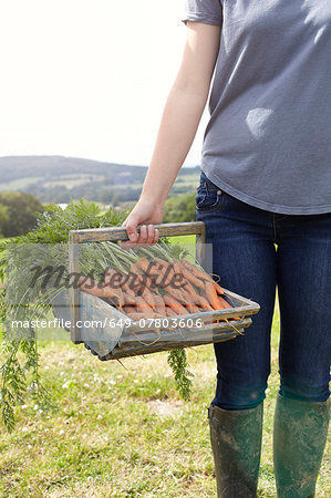 Cropped shot of teenage girl carrying a basket of fresh carrots