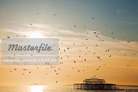 Silhouetted view of seagulls flying over Brighton pier, Brighton, Sussex, UK
