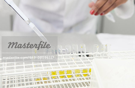 Female hand pipetting yellow liquid into test tubes in lab Female hand pipetting yellow liquid into test tubes in lab