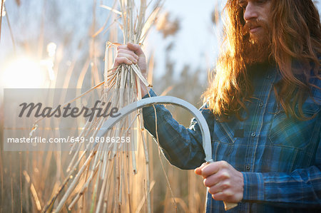 Man harvesting wheat with scythe