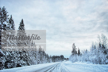View of snow covered trees and highway, Hemavan, Sweden