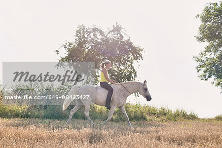Woman riding grey horse in field