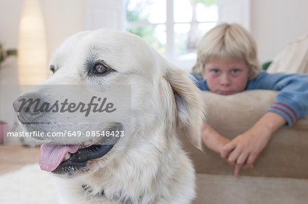 Close-up of pet dog, boy leaning on couch in background