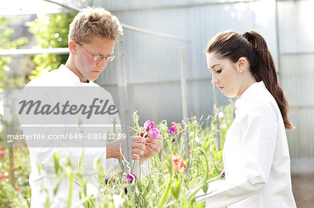 Scientists examining plants together