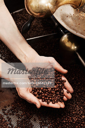 Hands holding coffee beans