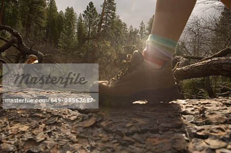 Woman hiking along tree trunk